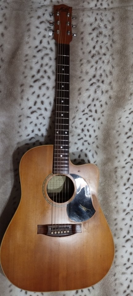 Acústica MATON EM325C