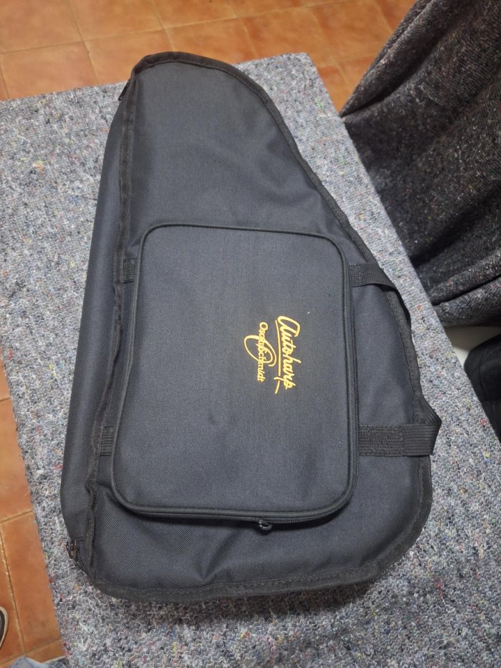 Arpa Autoharp Oscar Schmidt OS150FCE de segunda mano · Foto 5 de 6 · Bizkaia · 550 €