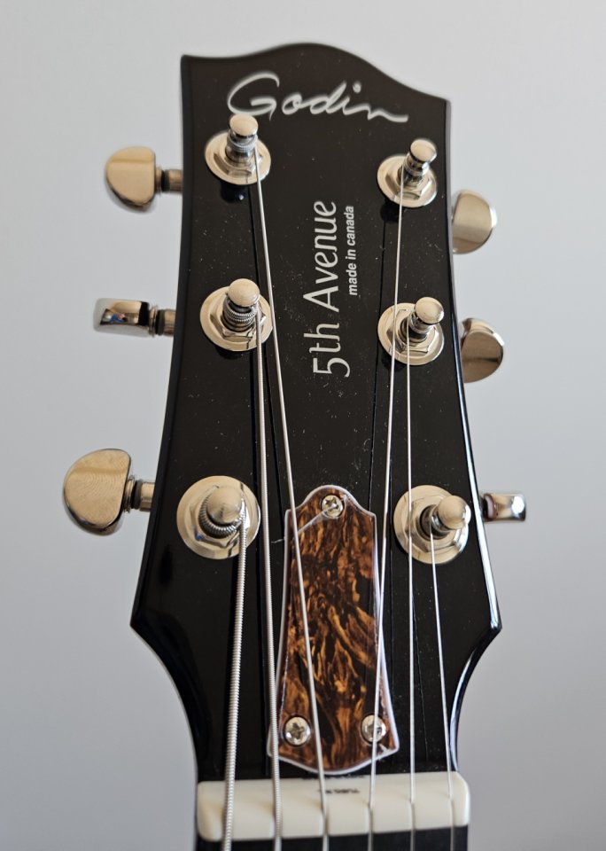 Godin 5th Avenue Uptown Custom