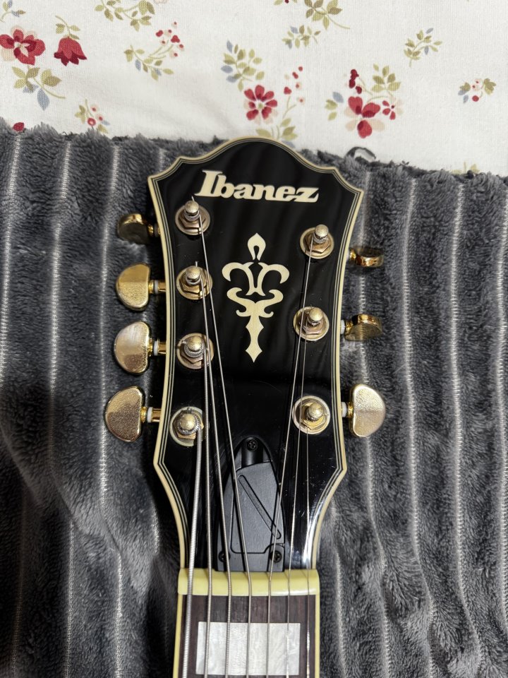 Ibanez afj957 7