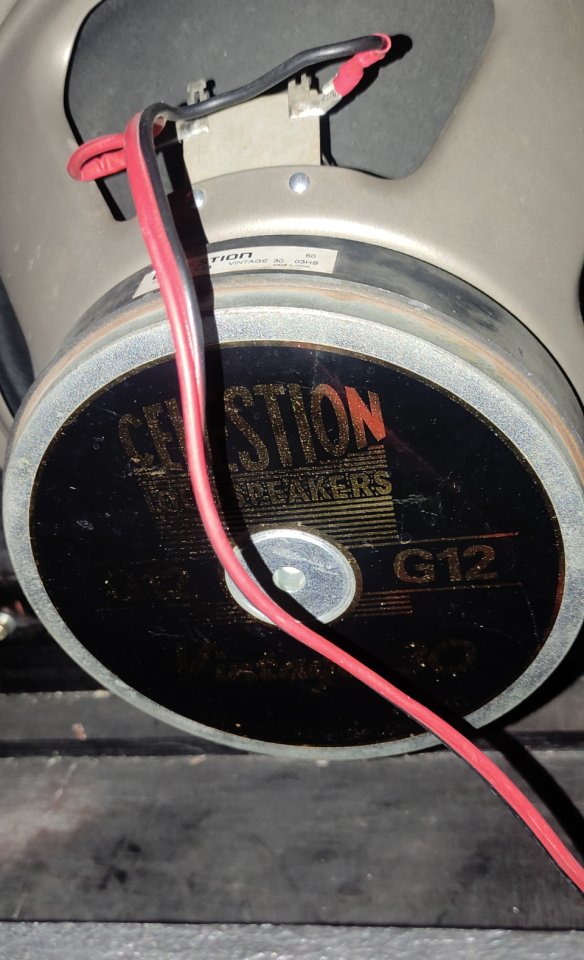 Cambio celestion v30 por creamback de segunda mano · Jaén