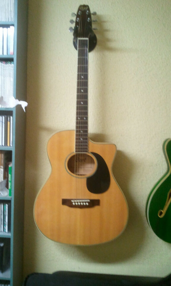 Varias guitarras por una