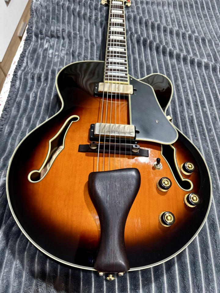 Ibanez afj957 7