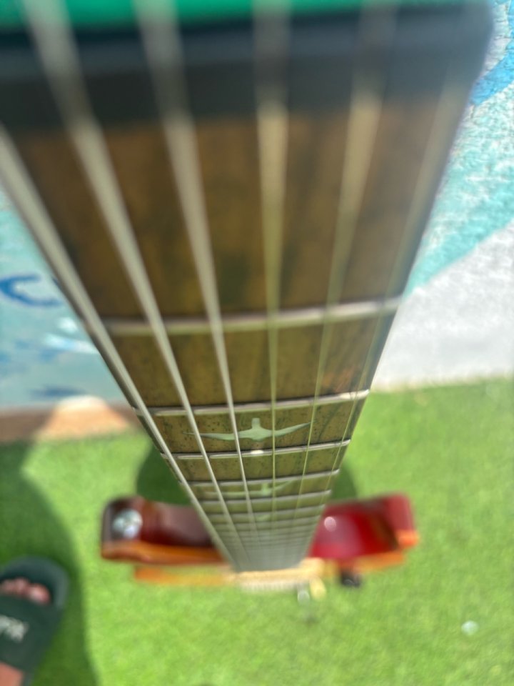 PRS SE Custom 24-08 + funda de segunda mano · Foto 4 de 10 · Sevilla · 699 €