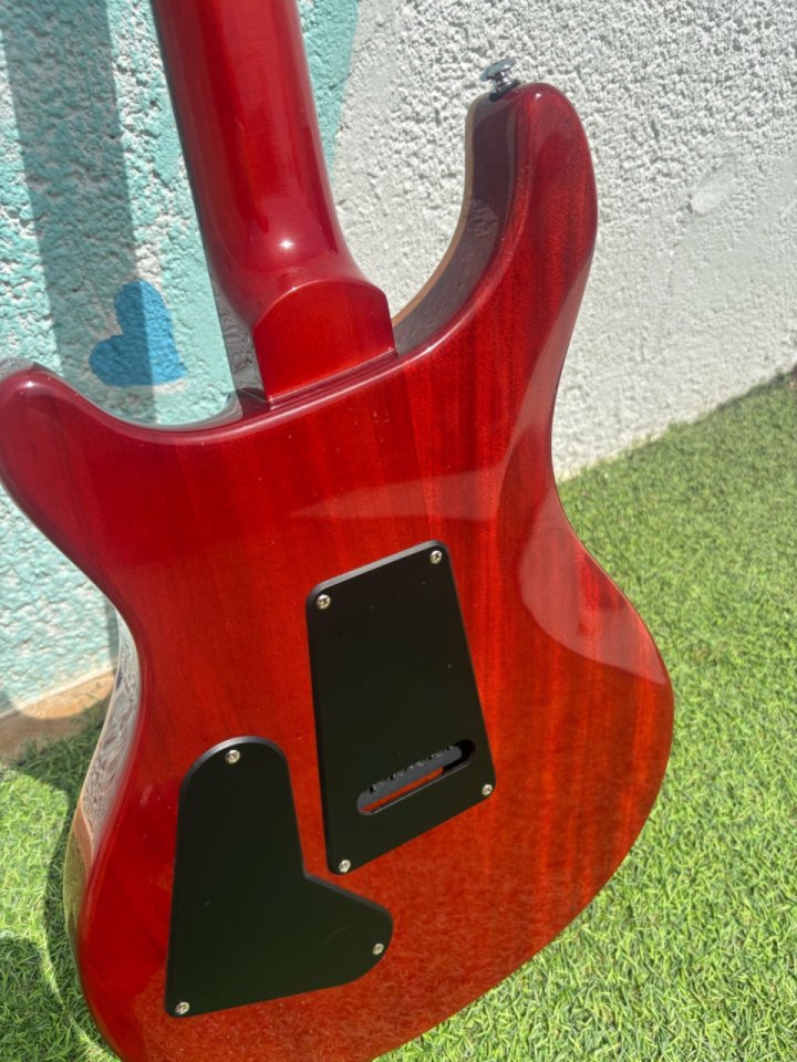 PRS SE Custom 24-08 + funda de segunda mano · Foto 9 de 10 · Sevilla · 699 €