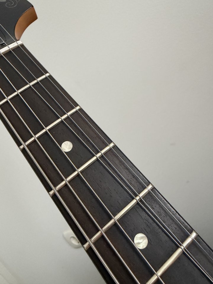 Fender Meteora Player Plus FSR