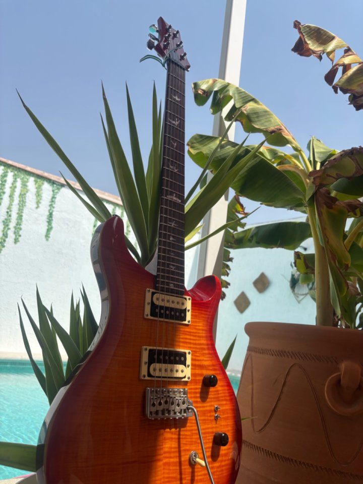 PRS SE Custom 24-08 + funda de segunda mano · Foto 10 de 10 · Sevilla · 699 €