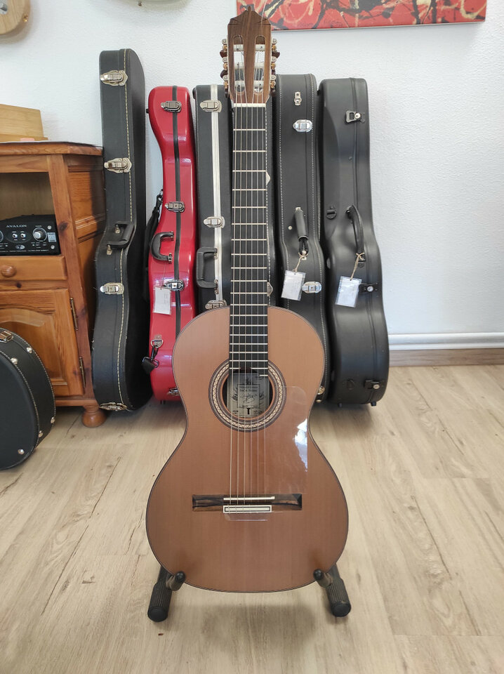 Guitarra clásica de concierto