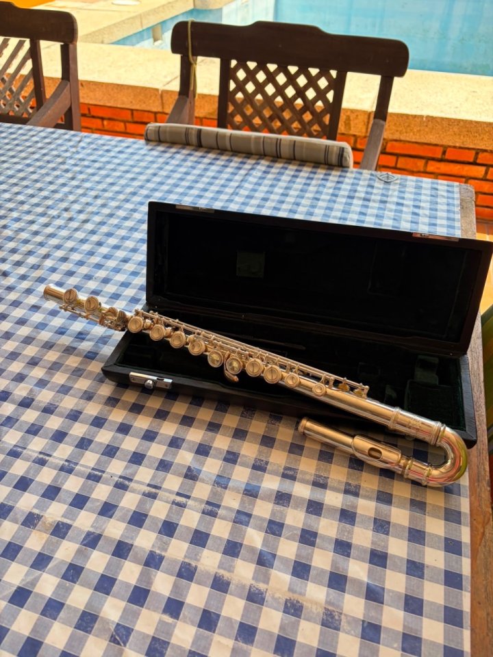 Flauta travesera J. Michael de segunda mano · Foto 1 de 4 · Madrid · 340 €