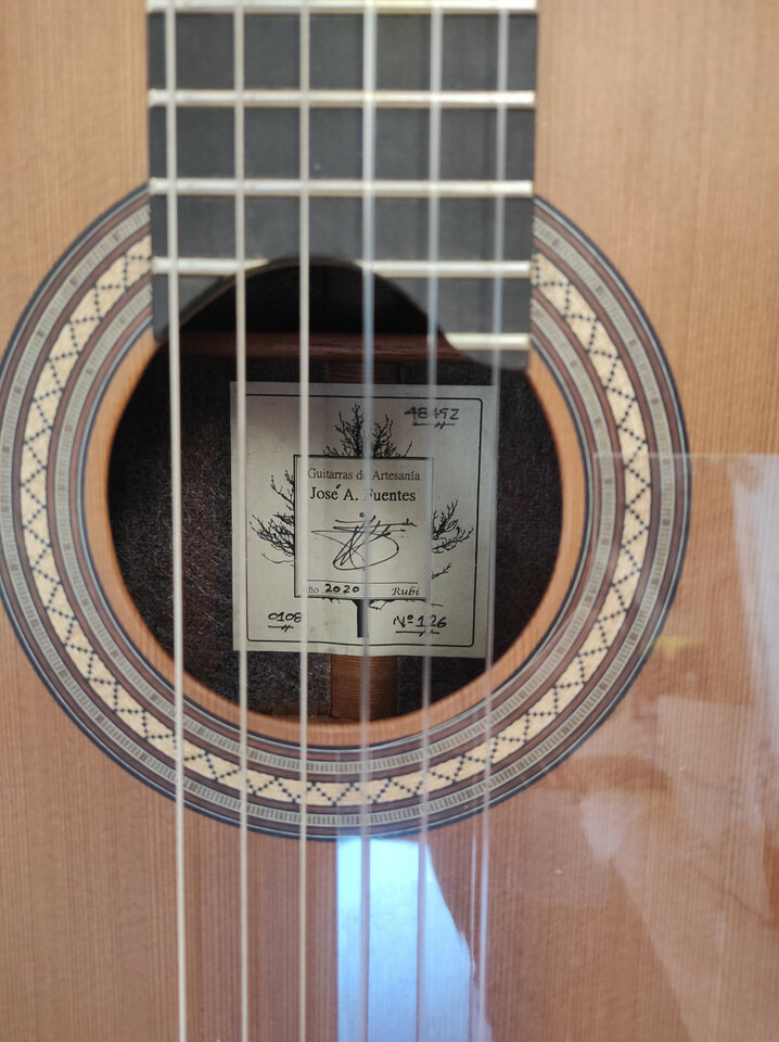 Guitarra clásica de concierto