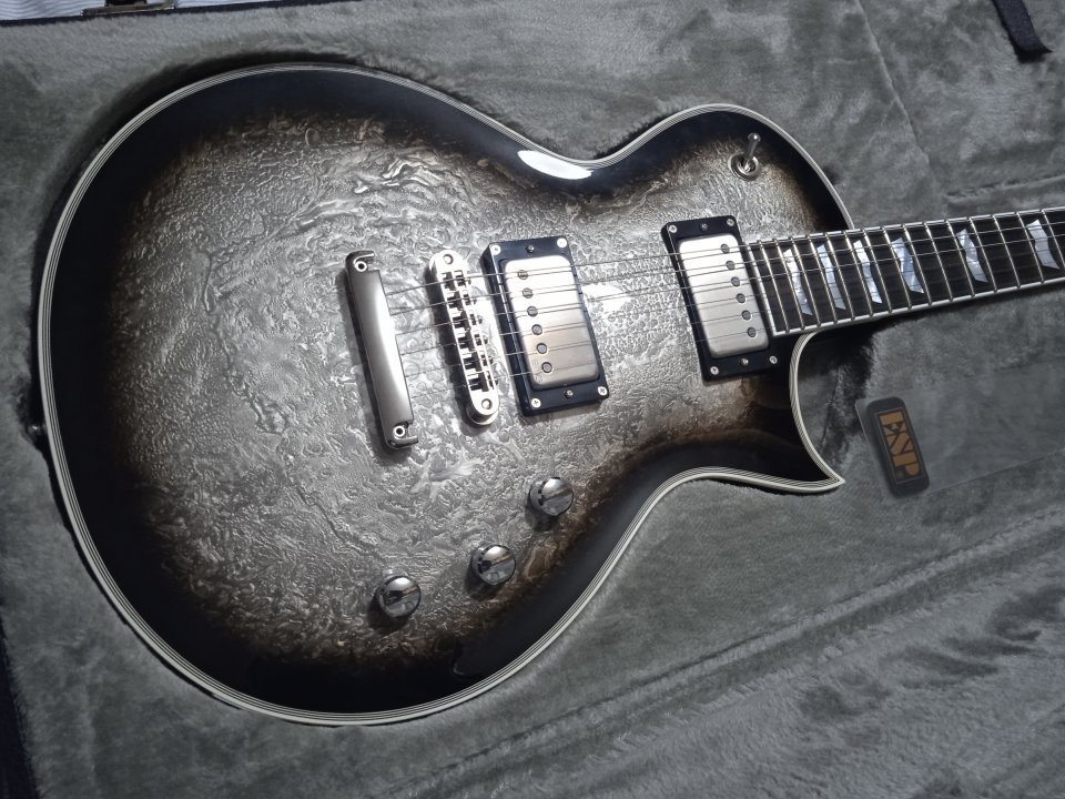 ESP Eclipse CTM Custom Shop