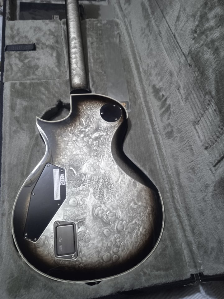 ESP Eclipse CTM Custom Shop