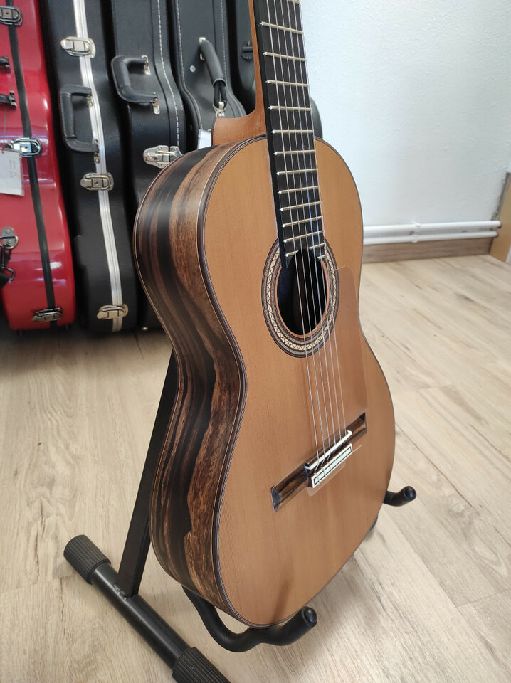 Guitarra clásica de concierto