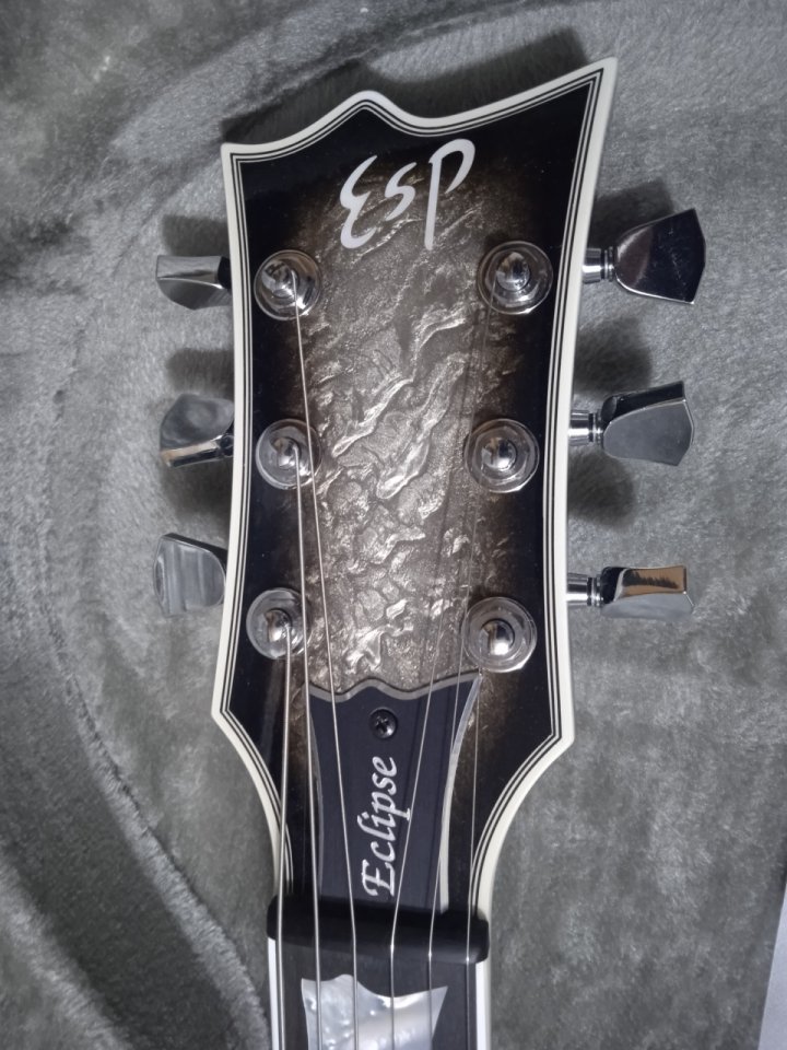 ESP Eclipse CTM Custom Shop