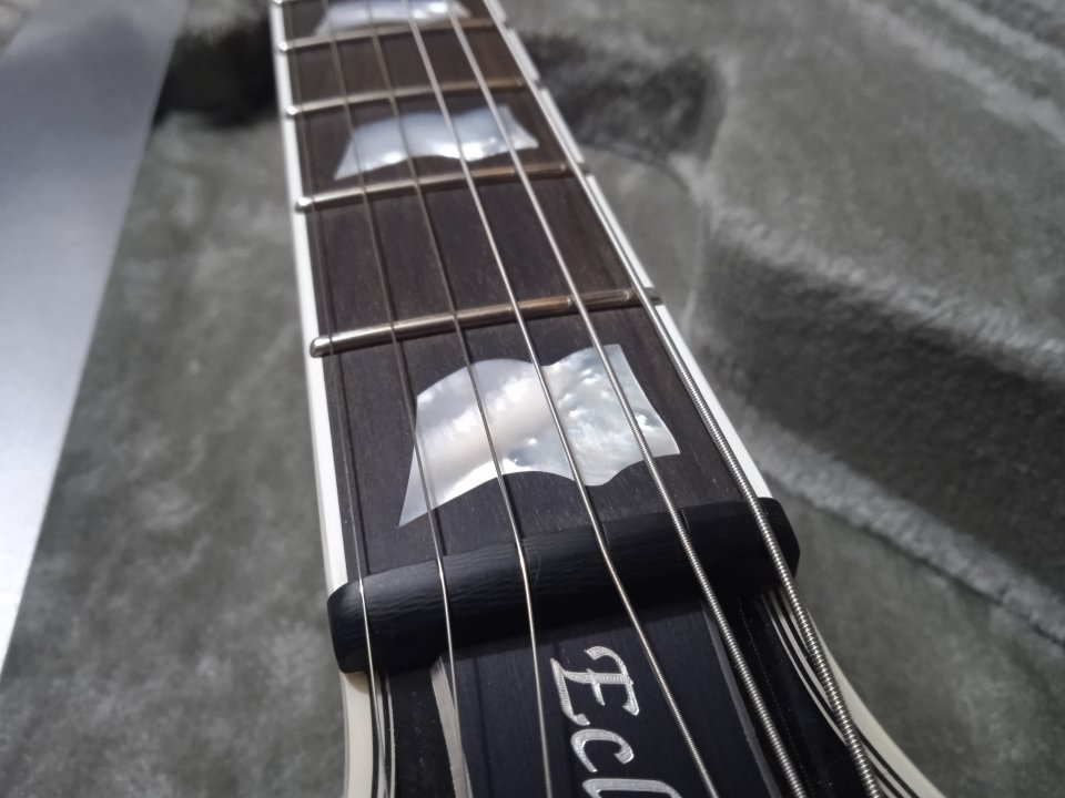 ESP Eclipse CTM Custom Shop