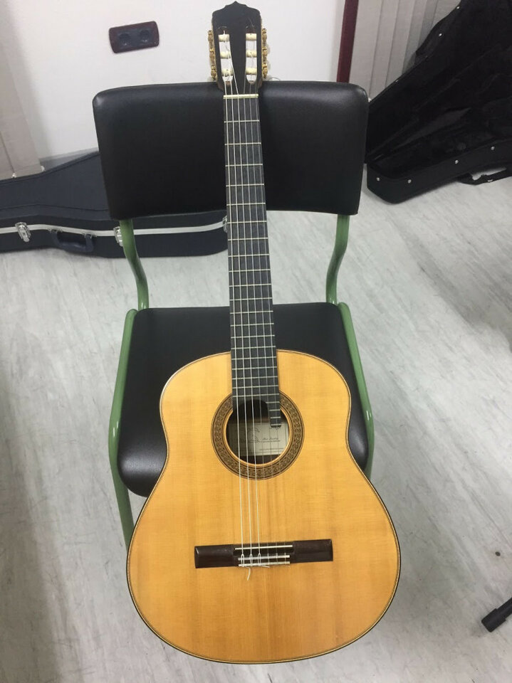 Guitarra clásica de concierto Renee Baarslag