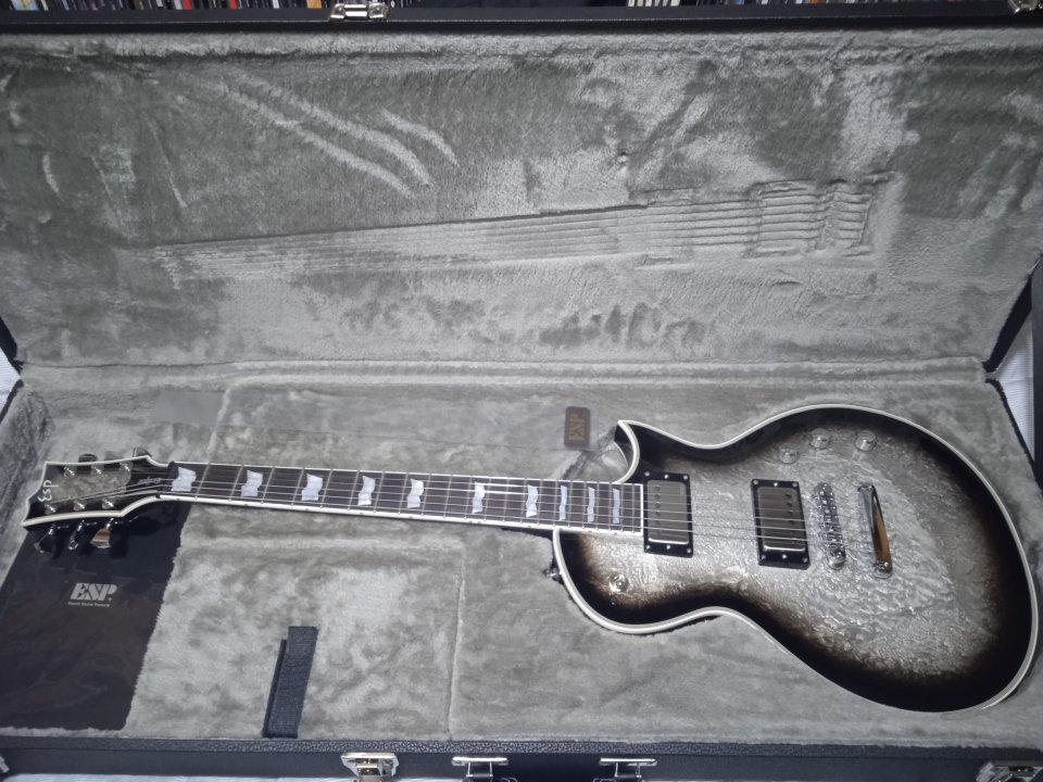 ESP Eclipse CTM Custom Shop