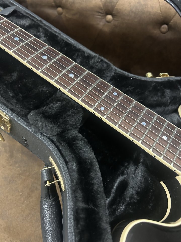 Heritage es 335 made in usa