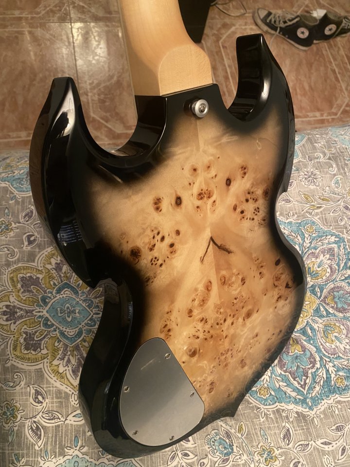 Wylde Audio IronWorks Barbarian + Estuche Oficial de segunda mano · Foto 5 de 9 · Tarragona · 2500 €