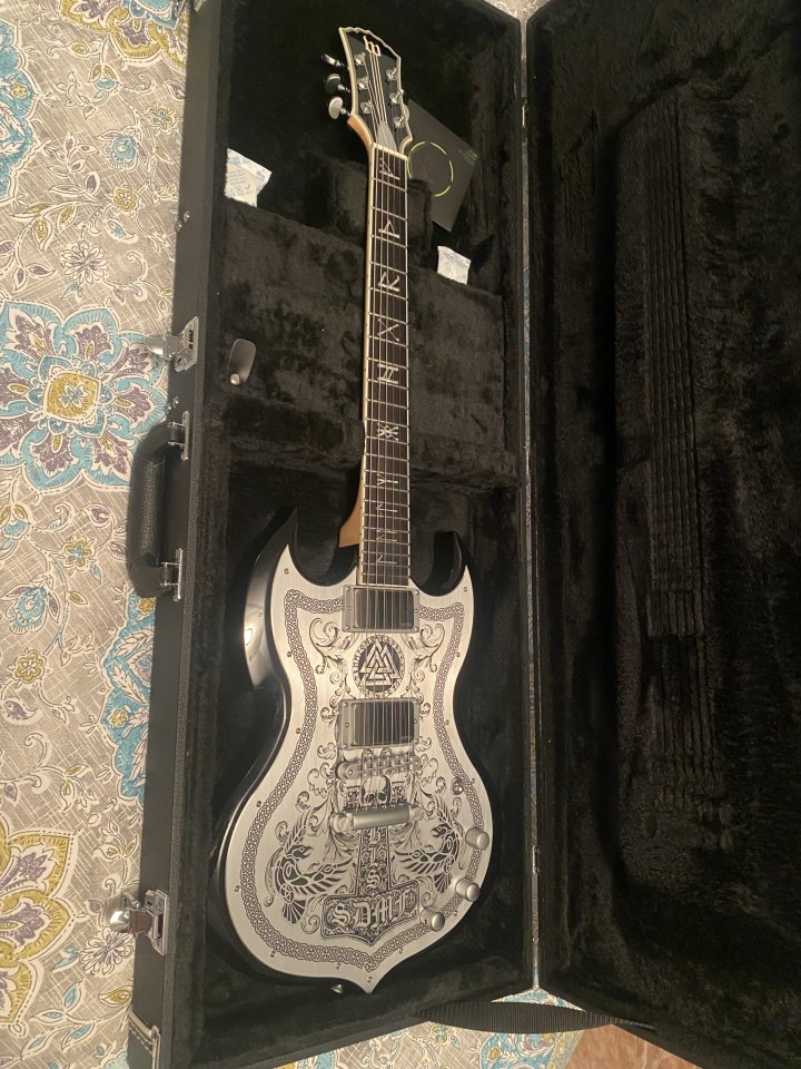 Wylde Audio IronWorks Barbarian + Estuche Oficial de segunda mano · Foto 7 de 9 · Tarragona · 2500 €