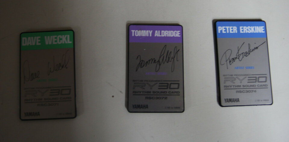 Tarjetas Yamaha Ry30 y Rm50