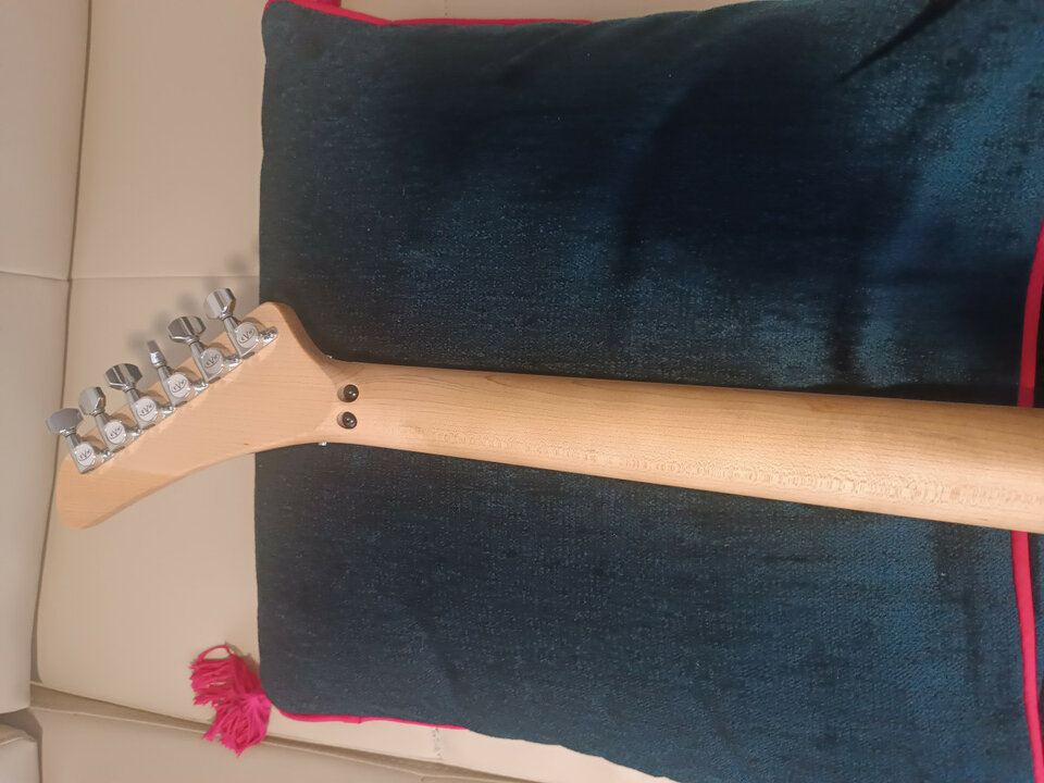 EVH 5150 Series, primera generación.