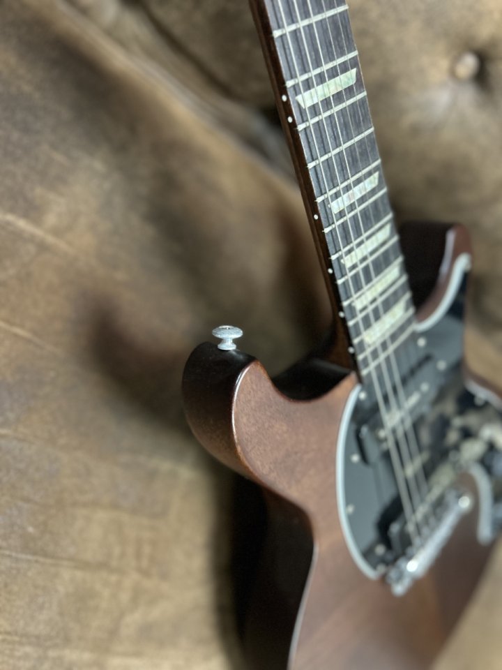 Gibson Les Paul Dc tribute