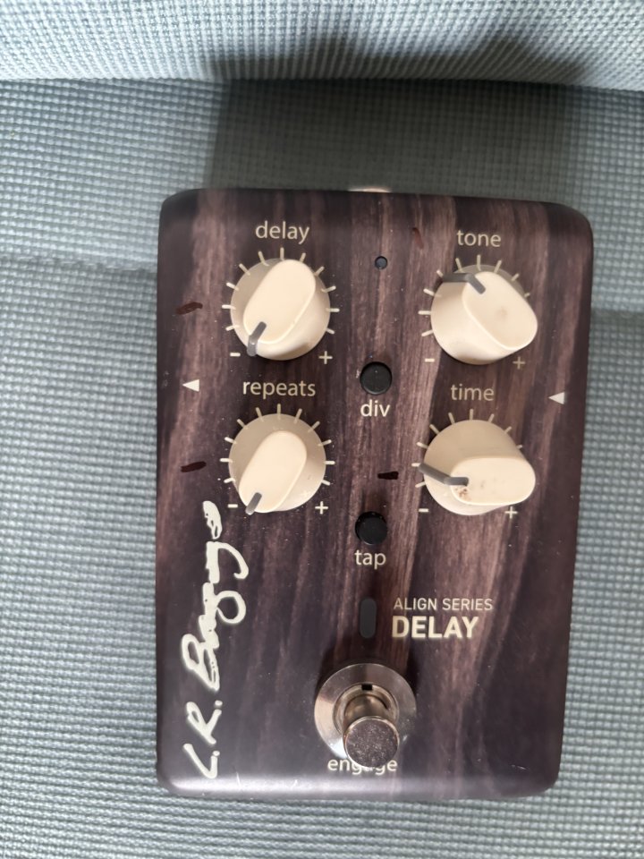 L.R.Baggs Align Delay