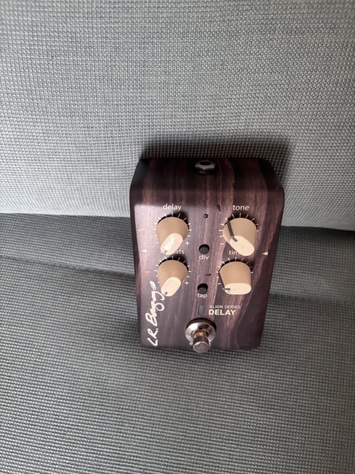 L.R.Baggs Align Delay