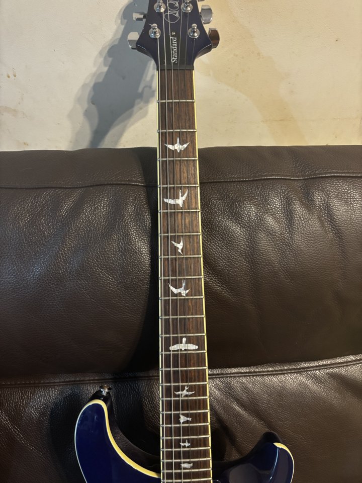 Vendo o Cambio PRS SE 24 Standard de segunda mano · Foto 2 de 8 · Asturias
