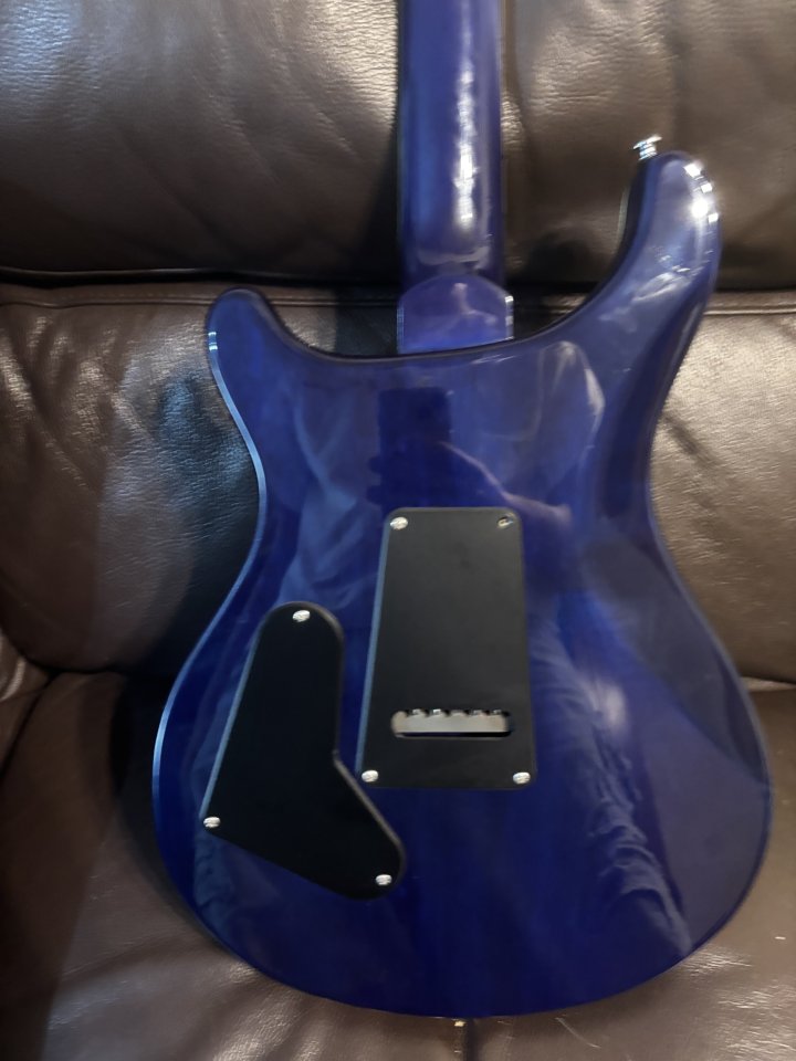 Vendo o Cambio PRS SE 24 Standard de segunda mano · Foto 6 de 8 · Asturias