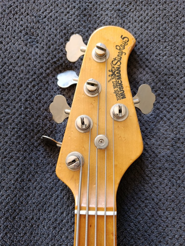 Music man Stingray 5 1998