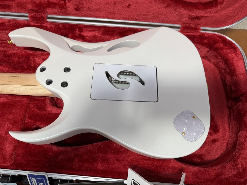 Ibanez PIA 3761-SLW Steve Vai - Solo Venta, NO Cambios de segunda mano · Foto 5 de 10 · Madrid · 2500 €