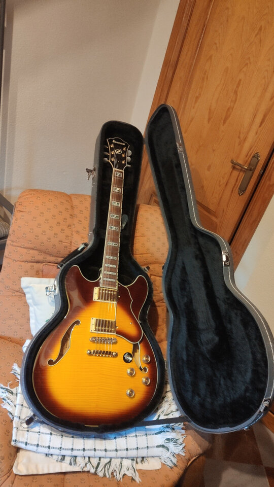 Ibanez AS103 con pastillas Dimarzio PAF 36th Anniversary y estuche rígido