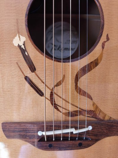 Takamine Limited Edition 2005 de segunda mano · Foto 1 de 5 · Madrid · 1150 €