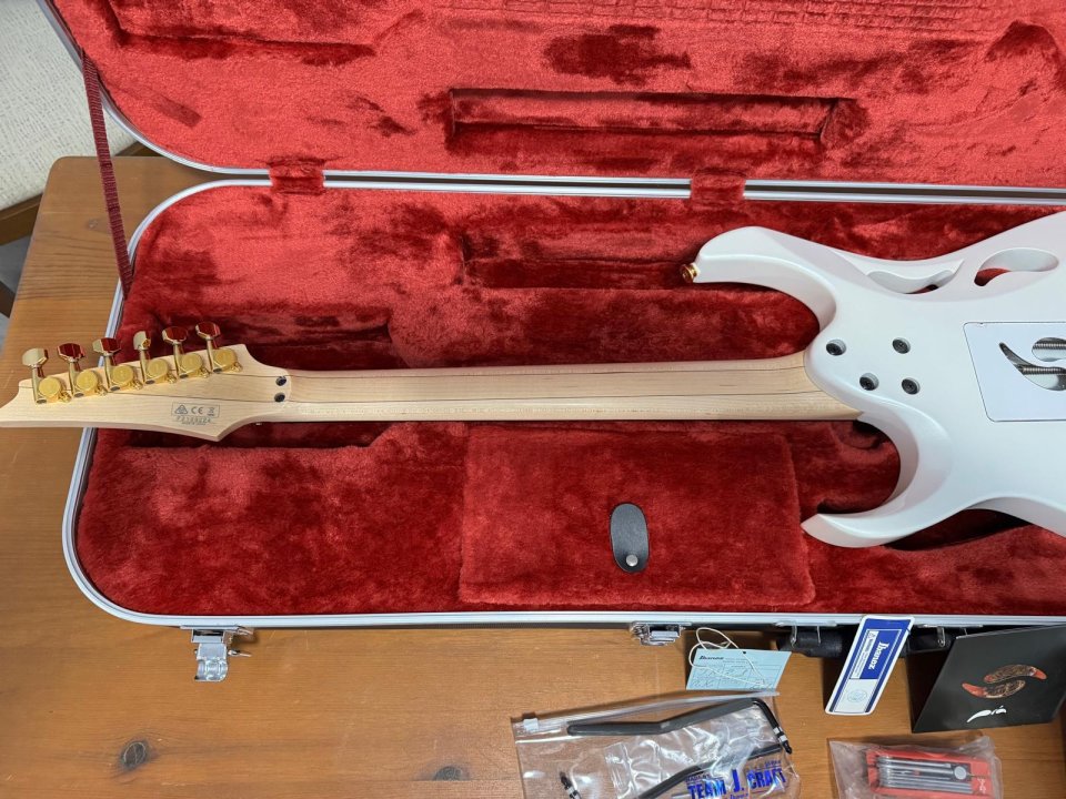 Ibanez PIA 3761-SLW Steve Vai - Solo Venta, NO Cambios de segunda mano · Foto 6 de 10 · Madrid · 2500 €