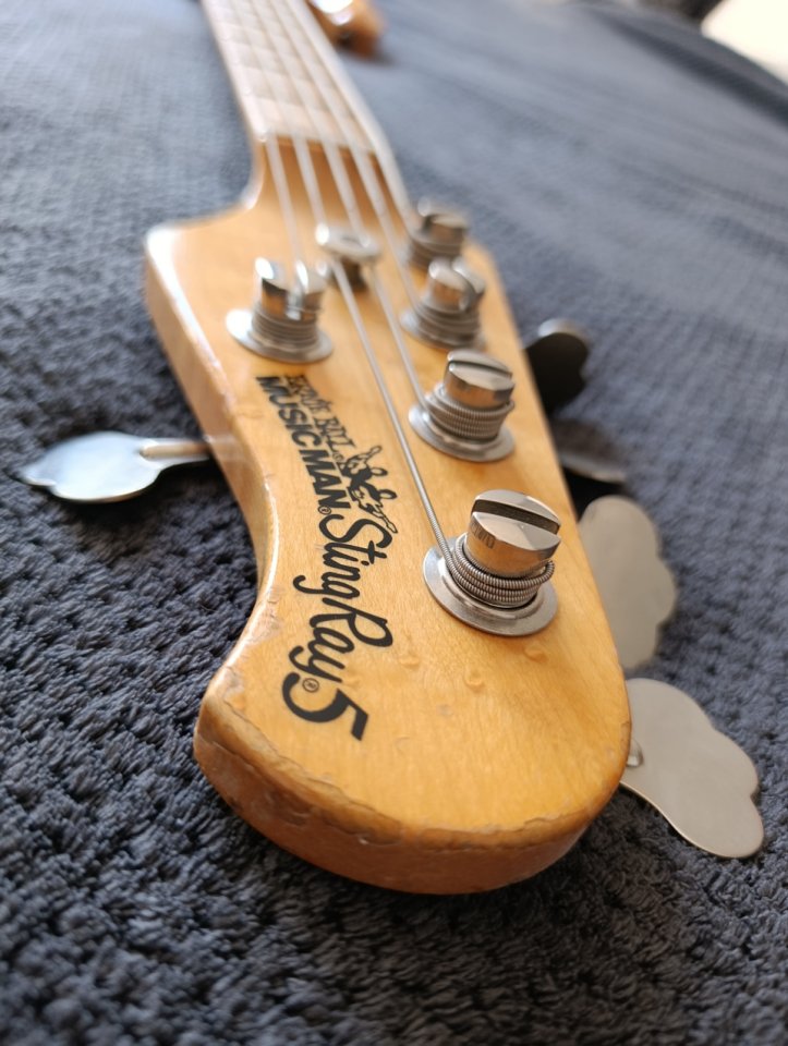 Music man Stingray 5 1998