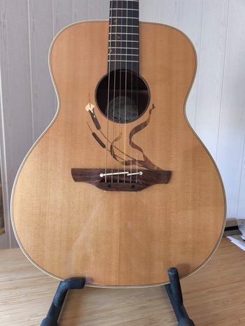 Takamine Limited Edition 2005 de segunda mano · Foto 2 de 5 · Madrid · 1150 €
