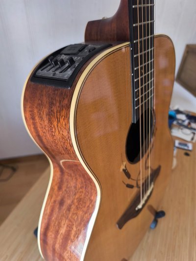 Takamine Limited Edition 2005 de segunda mano · Foto 3 de 5 · Madrid · 1150 €