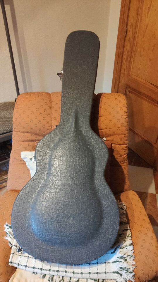 Ibanez AS103 con pastillas Dimarzio PAF 36th Anniversary y estuche rígido