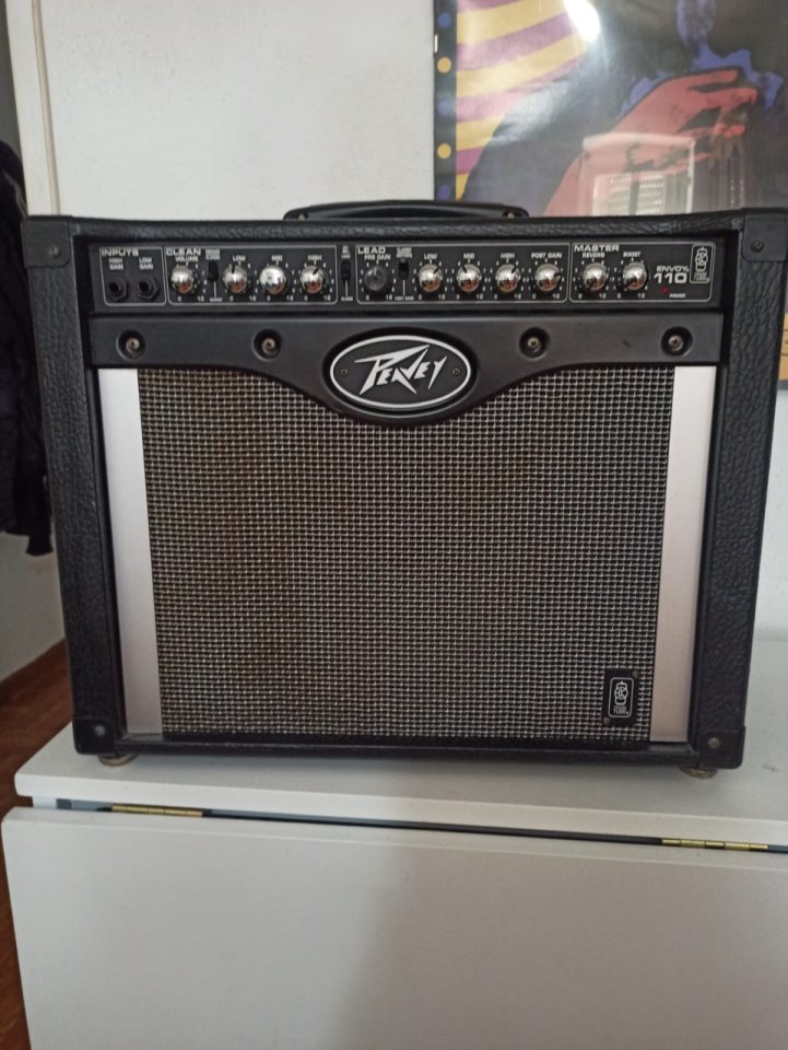 Peavey Envoy110