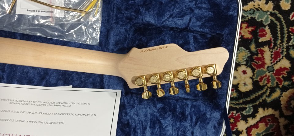 Jtg Mk1. James Tyler guitars.