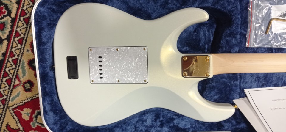 Jtg Mk1. James Tyler guitars.