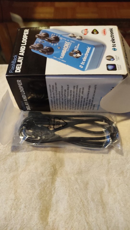 TC Electronic Flashback Delay & Looper