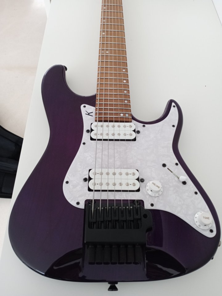 Kiesel Delos 7 cuerdas - headless - tremolo