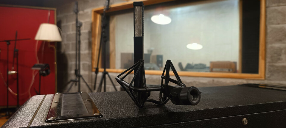 SE Electronics Voodoo VR2