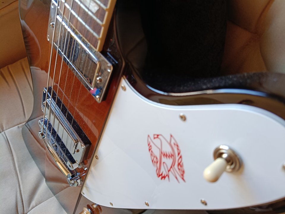 Gibson Platypus Firebird