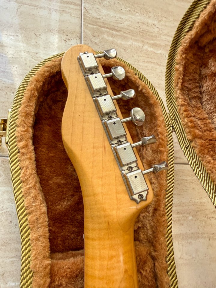 Rossi Telma Surf Green