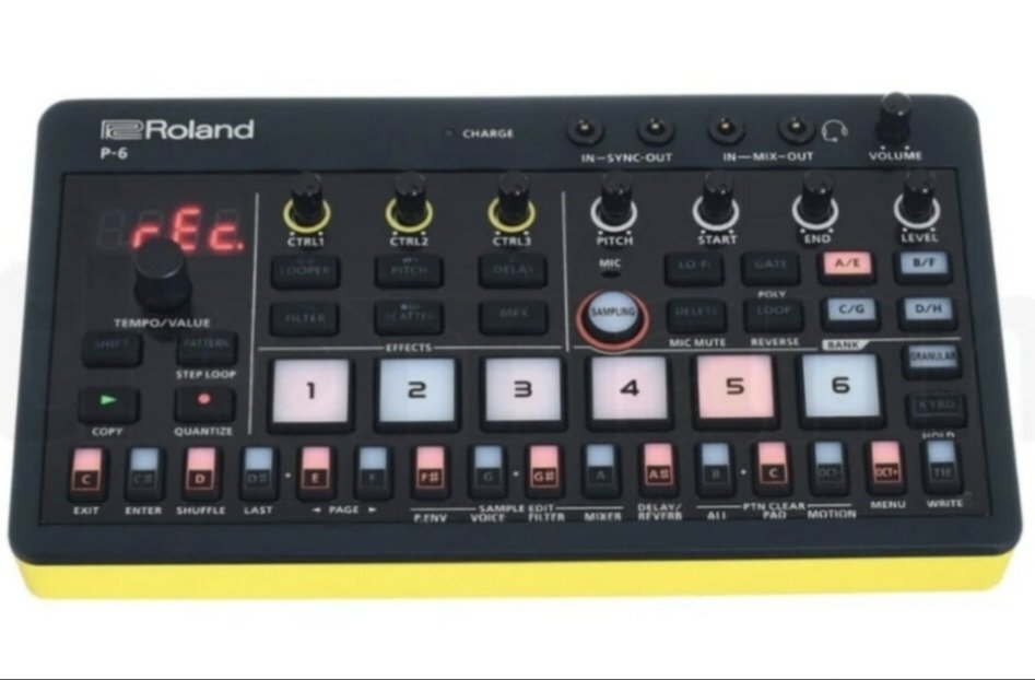 Roland P-6 Sampler - Sintetizador por Delay o Reverb! de segunda mano · Pontevedra