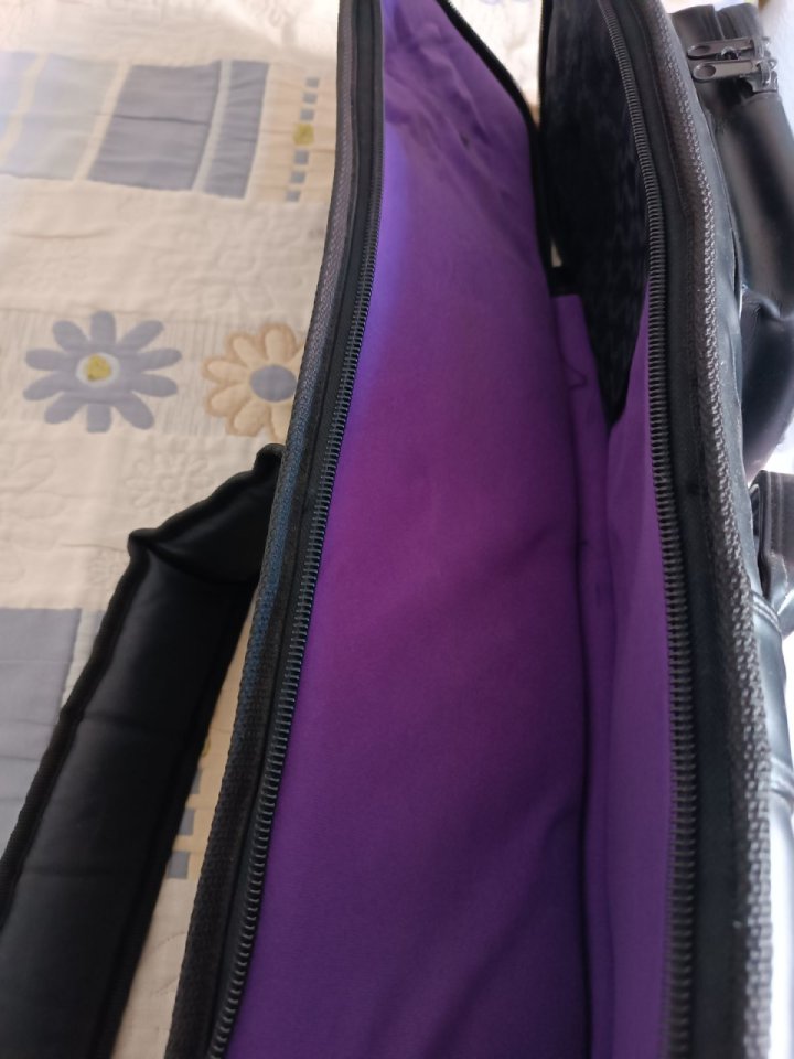 ESP Flying V 1979 de segunda mano · Foto 9 de 10 · Lugo · 1500 €